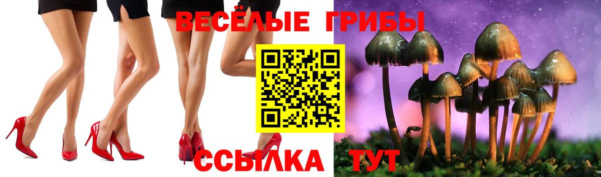 Галлюциногенные грибы Cubensis Первоуральск